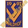 SV Waldhof Mannheim - 1920er