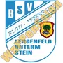 Thumb Bsv Bw 22 Lengenfeld Stein
